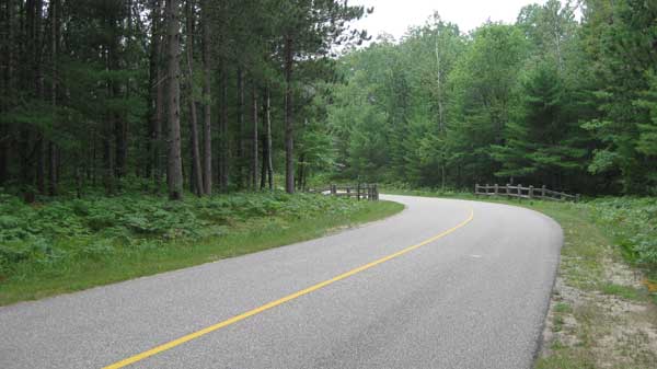 Roller skiing in Hartwick Pines State Park