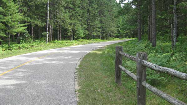 Roller skiing in Hartwick Pines State Park