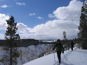 Cross country skiing in Yellowstone National Park