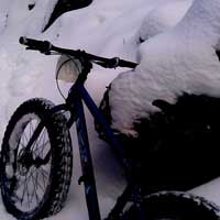 Fatbikes on Cross-Country Ski Trails: Kingdom Trails in Vermont