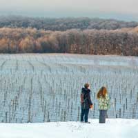 Traverse City introduces Wine Touring on Skis