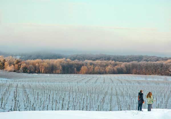 As winter snows cover the rolling hills of Northern Michigan’s wine country, several wineries on the scenic Leelanau Peninsula near Traverse City have responded with a new approach to touring and tasting: a vineyard-to-vineyard ski and snowshoe trail.