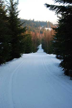 Jizerska Ski Trail