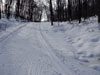 Descending Jackrabbit at Stokely Creek