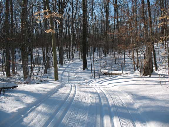 Classic cross country ski trails at Huron Meadows