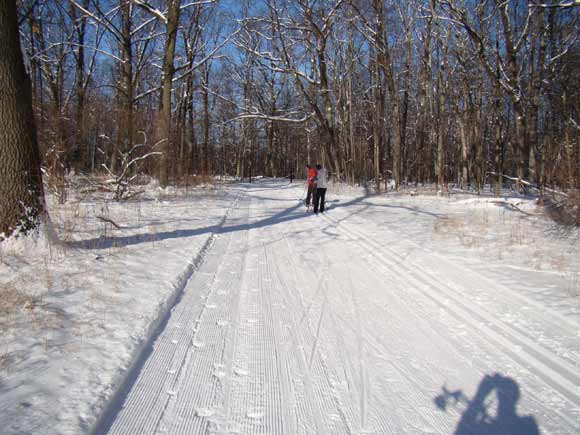 Cross country ski trail at Huron Meadows Metropark