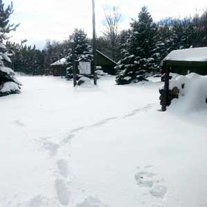Snow at Forbush Corner on November 14, 2014