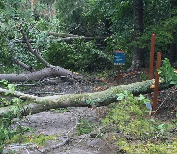 Sleeping Bear Heritage Trail is impassable due to down trees