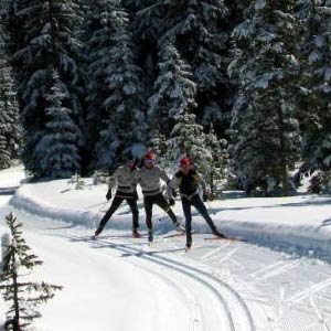 A training recommendation for Master Skiers specifically
