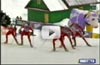 Top ski - Video of the Swedish Gällivare races