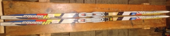 2012 Salomon Equipe 10 Skate Soft Ground Skis