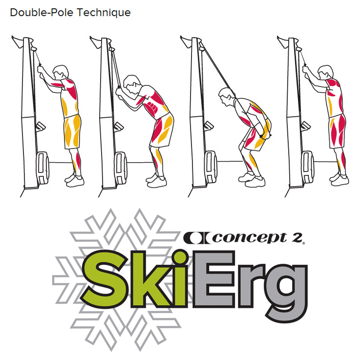 cross country ski double-pole technique on a SkiErg