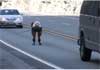 Feature image for TV coverage: SRB Rollerski