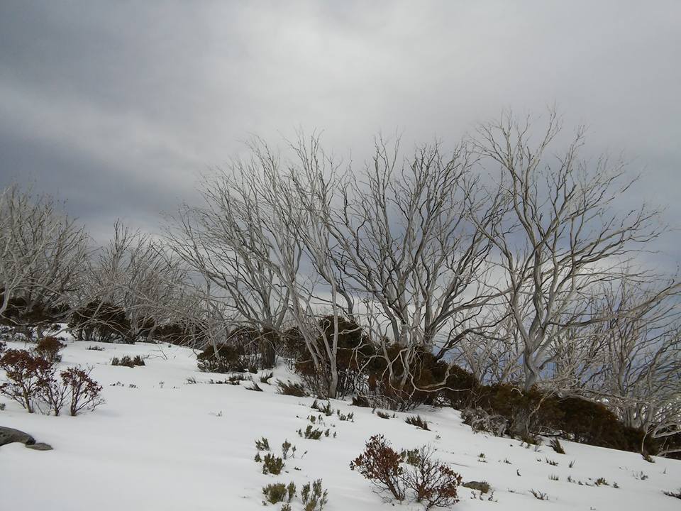 Terrain around Falls Creek