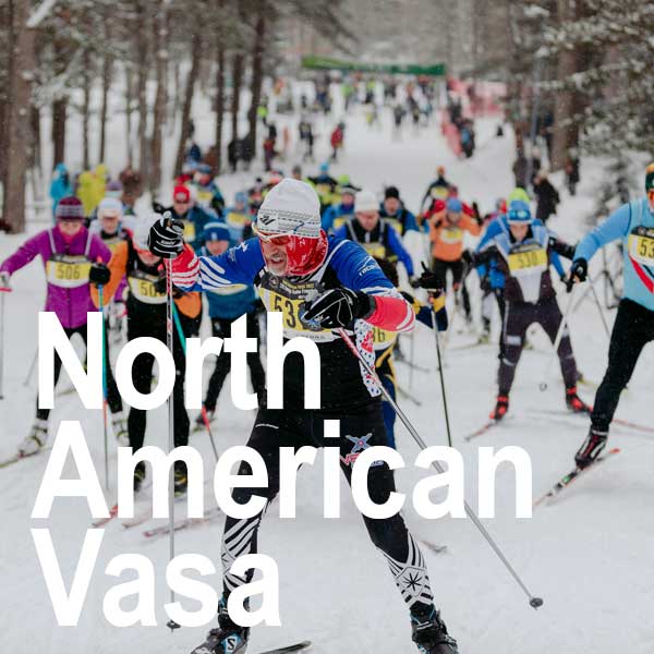 Feature image for The VASA is all systems go!
