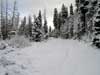 Feature image for Lake Tahoe and Royal Gorge: Snow!
