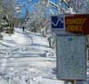 Feature image for Glorious Snow at ABR