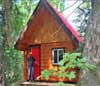 Feature image for New cabin at Stokely Creek for 2010-2011