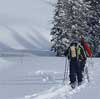 Feature image for Yellowstone backcountry XC skiing experience