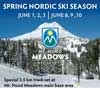 Feature image for XC Ski at Mt Hood in June