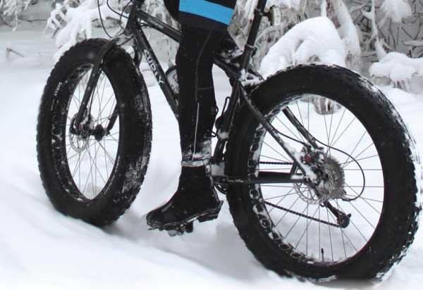 Fat bikes on Vasa cross country ski trail