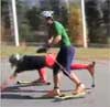 Feature image for Lake Placid rollerskiing
