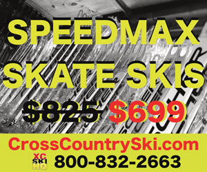 www.crosscountryski.com/product/fischer-speedmax-skate-3d-skis-plus/