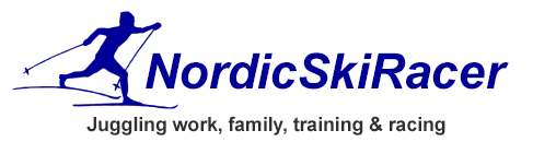 NordicSkiRacer Logo